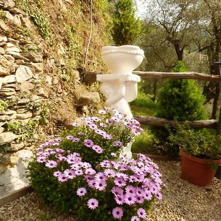索尔度假屋 Borghetto d'Arroscia 外观 照片