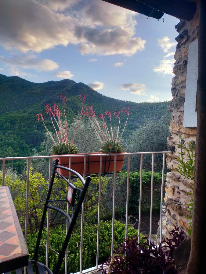 索尔度假屋 Borghetto d'Arroscia 外观 照片