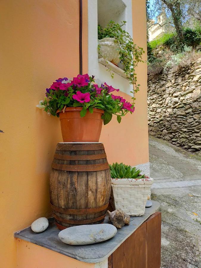 索尔度假屋 Borghetto d'Arroscia 外观 照片
