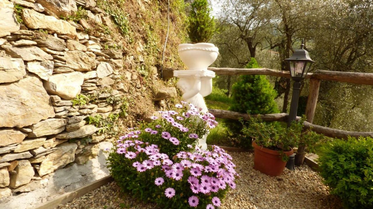 索尔度假屋 Borghetto d'Arroscia 外观 照片