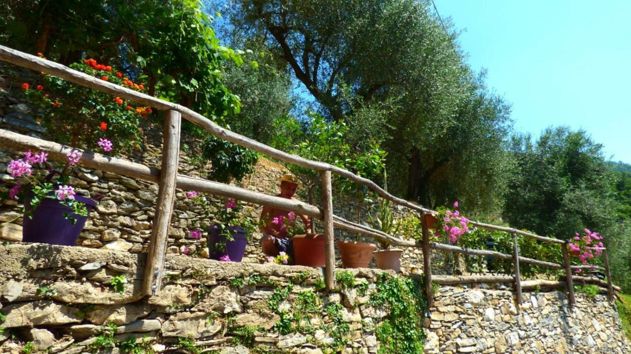 索尔度假屋 Borghetto d'Arroscia 外观 照片