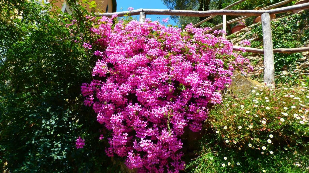 索尔度假屋 Borghetto d'Arroscia 外观 照片
